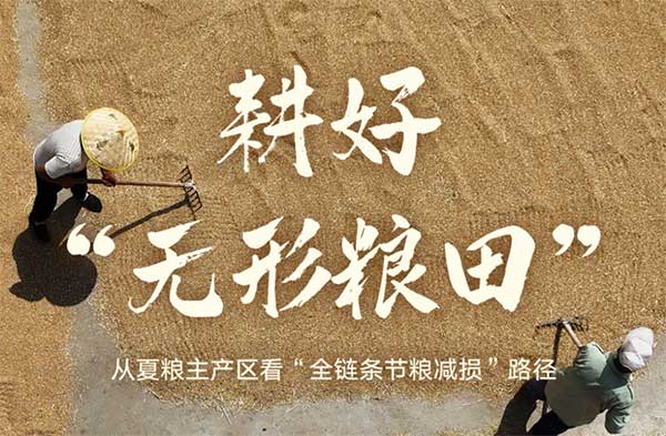 耕好“無形糧田”——從夏糧主產區看“全鏈條節糧減損”路徑