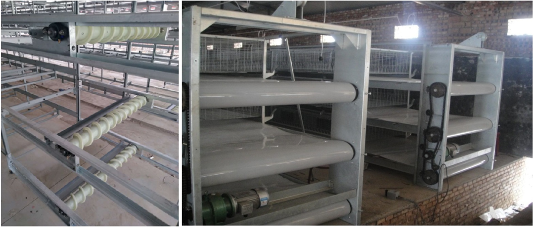 農(nóng)業(yè)農(nóng)村部發(fā)布《肉雞立體養(yǎng)殖技術(shù)指導(dǎo)意見》